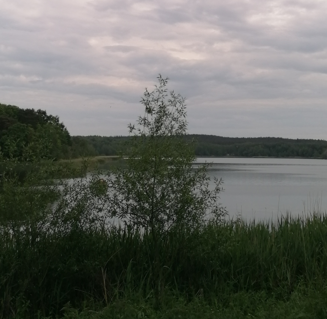 &copy; IMG_20240518_165815.jpg