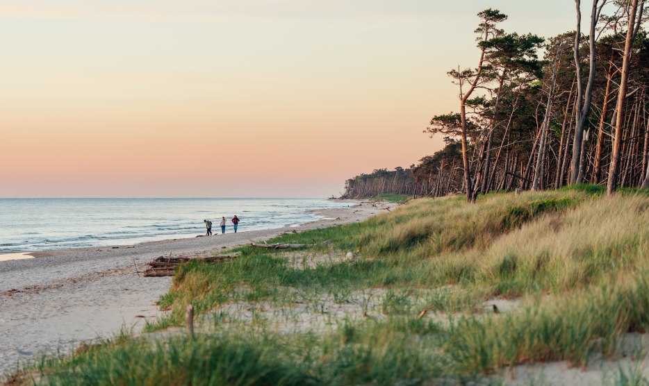 Een idyllische wandeling op het westelijke strand van de Darß: drie mensen genieten van de zonsondergang terwijl de kust in warme kleuren oplicht en de natuur tot rust komt.