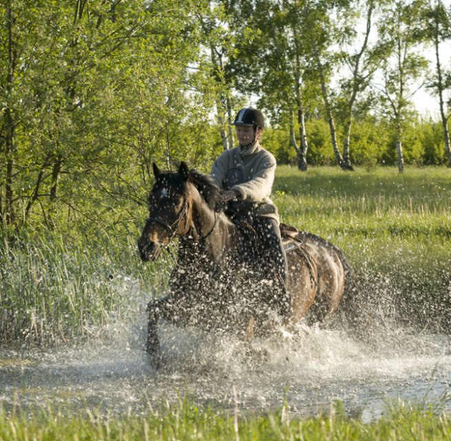 Auf ihrem Tagesritt durchreitet die Reiterin einen Teich entlang des Weges // &copy; TMV/ Hafemann