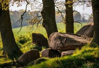 © Binzer Bucht Tourismus © Binzer Bucht Tourismus