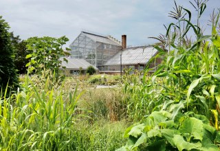 © Gudrun Koch © Gudrun Koch