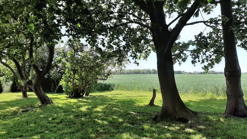 Pole w pobliżu dworu, © Gutshaus Neu Farpen