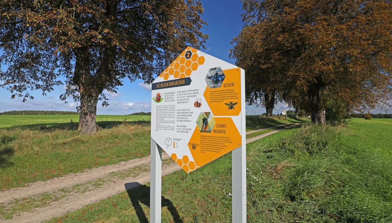 Ścieżka przyrodnicza w krainie Fleesensee_3, &copy; TMV/Gohlke