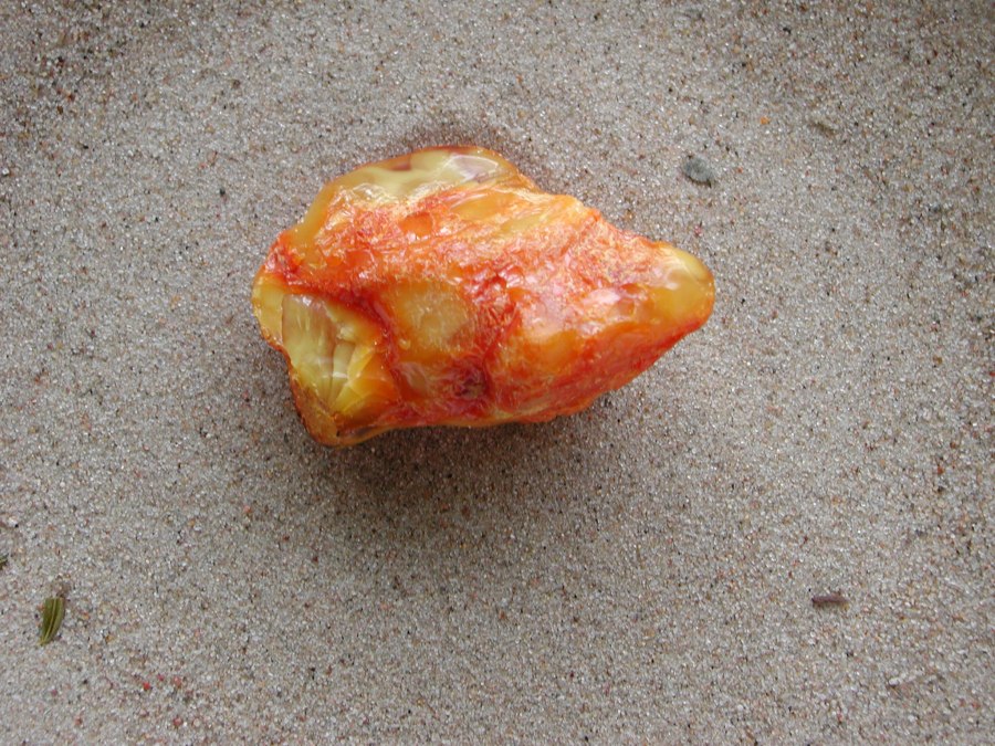 Lezing "Amber & Fosfor" met Carina Reich, &copy; dscn8767