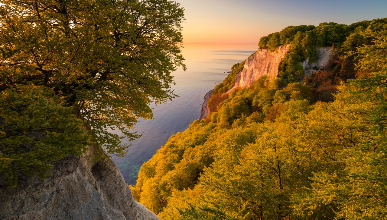 Allrich_NaturMV_Koenigsstuhl, © TMV/Allrich