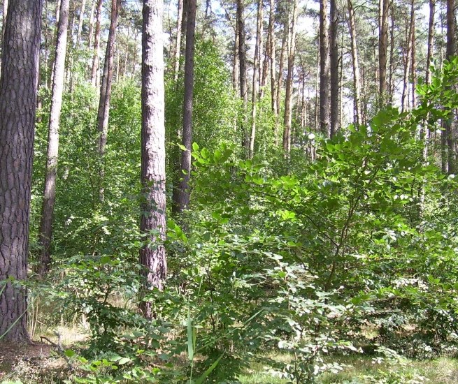 © Sabine Görmar © Sabine Görmar