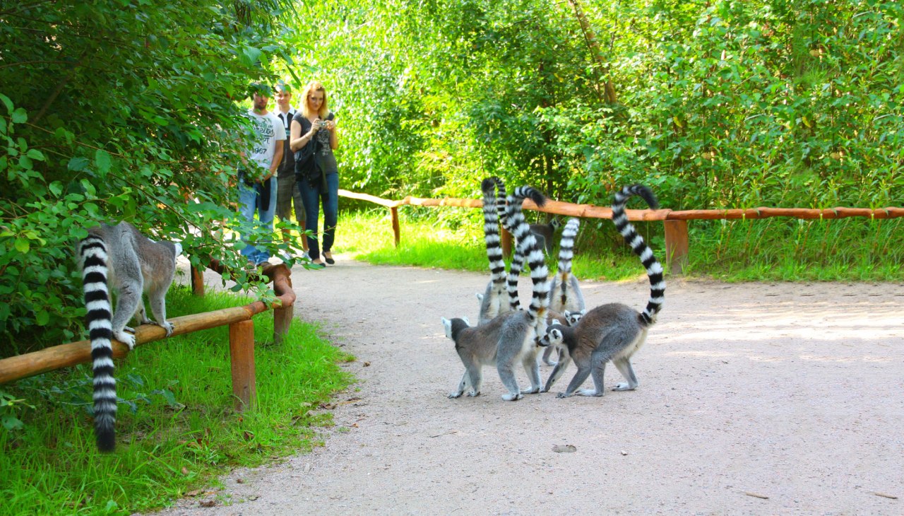 Kalosze, © Vogelpark Marlow/Zöger