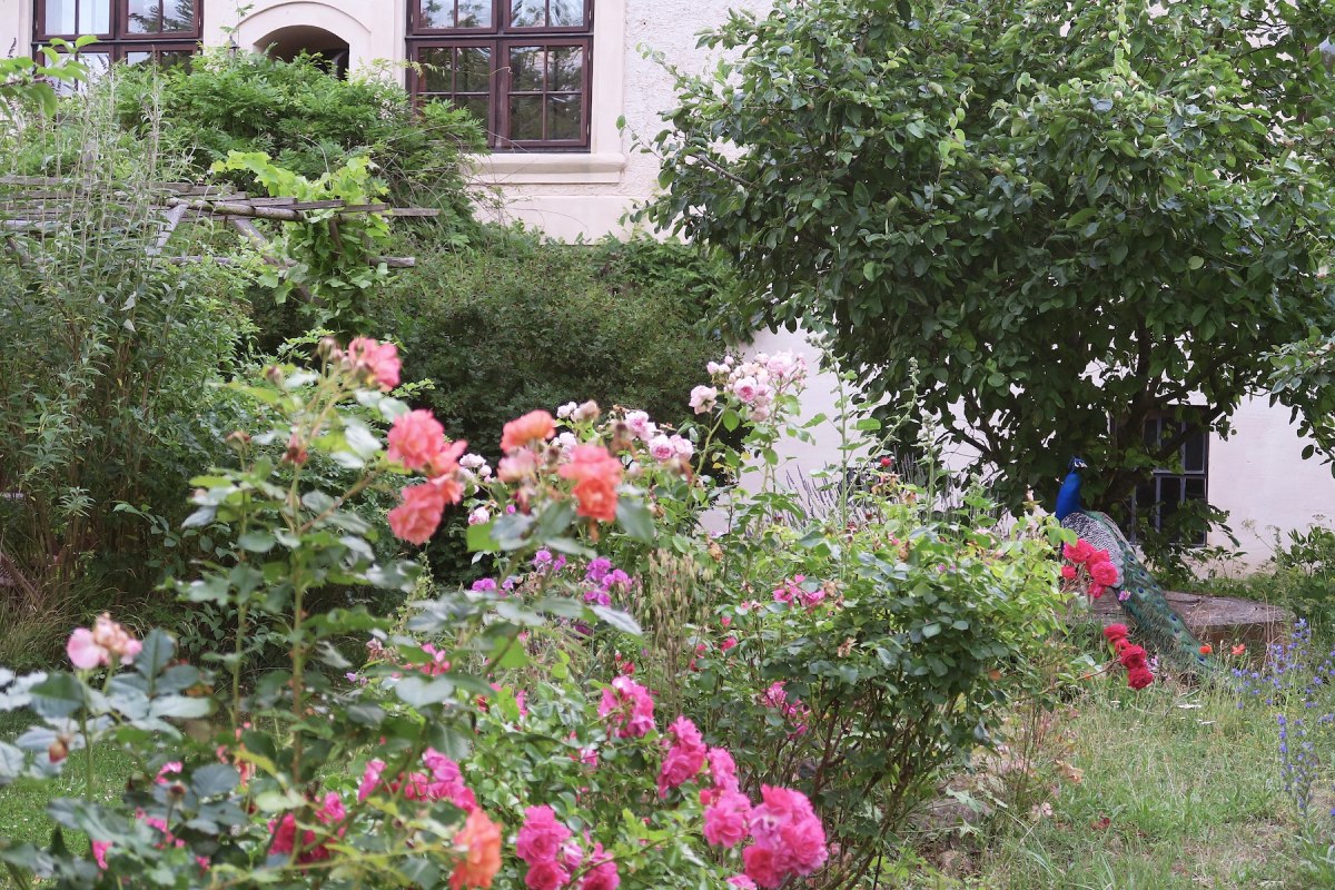 Romantic castle garden in Schmarsow // &copy; Ruiken-Fabich