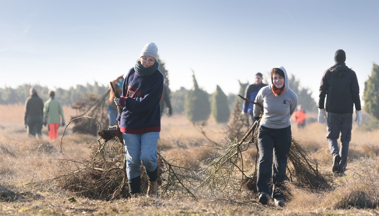 Hiddensee__Heide_freistellen_korr, © Matthäus Holleschovsky - Bergwaldprojekt e. V. Hiddensee__Heide_freistellen_korr, © Matthäus Holleschovsky - Bergwaldprojekt e. V.