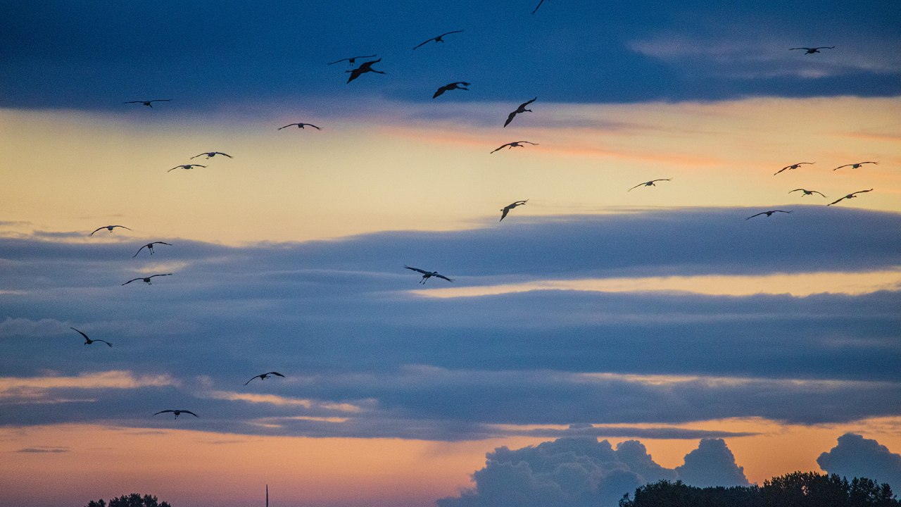 3G0A5016, &copy; Wei&szlig;e Flotte GmbH