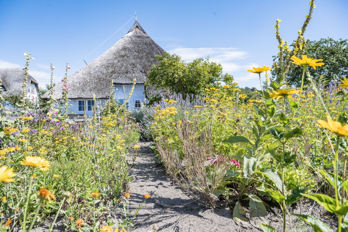 MCHGT202181036-6694, &copy; Lars Wehrmann