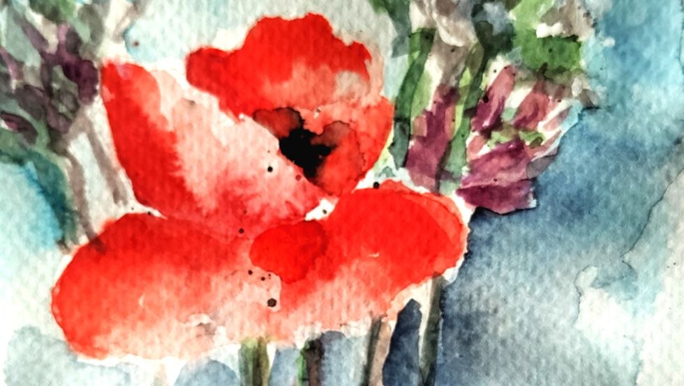 Watercolor painting poppy, © Simone Boll