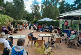 © Allgemeiner Hundeverein Kiebitzberg