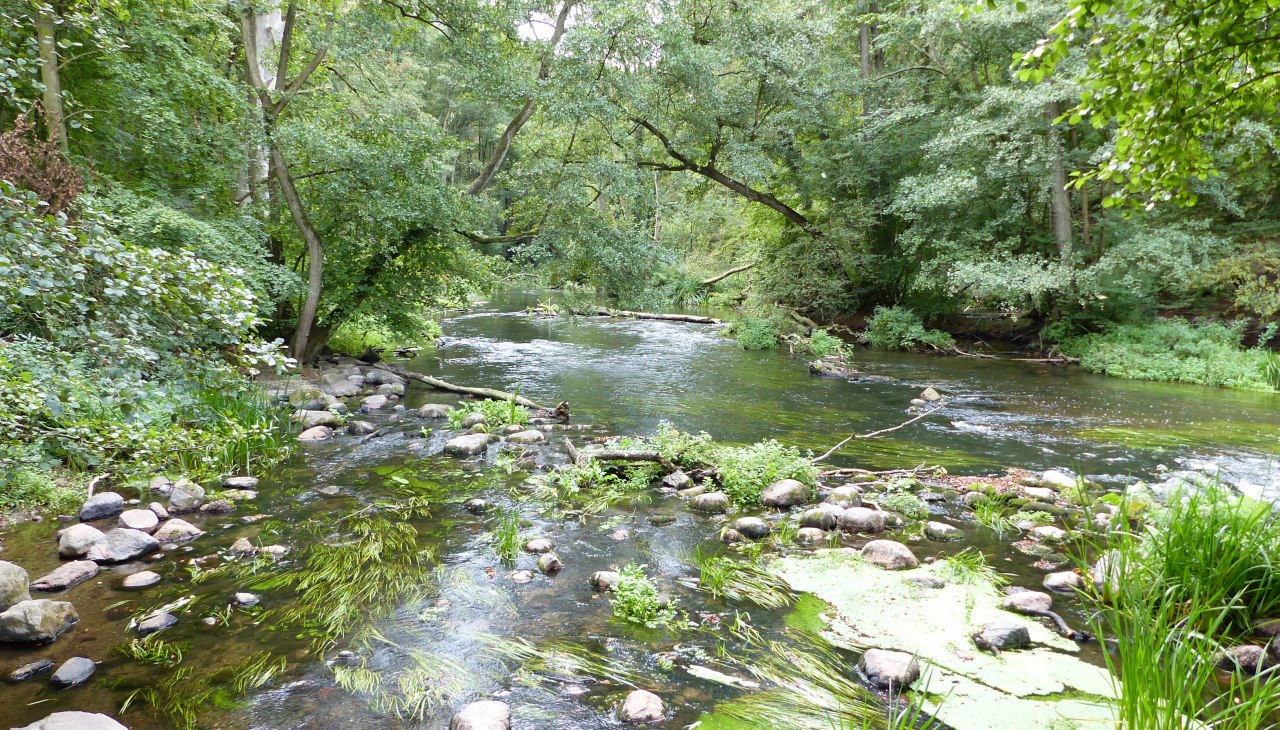 W dolinie Warnow w pobliżu Gro&szlig; G&ouml;rnow, &copy; Naturpark Sternberger Seenland