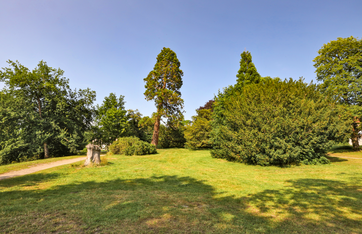 © TMV/Gohlke © TMV/Gohlke