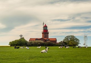 © VMO, Alexander Rudolph © VMO, Alexander Rudolph