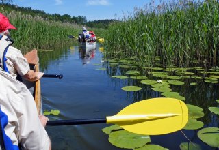 Op kanosafari door het Nationaal Park M&uuml;ritz, &copy; Kanu-Hecht