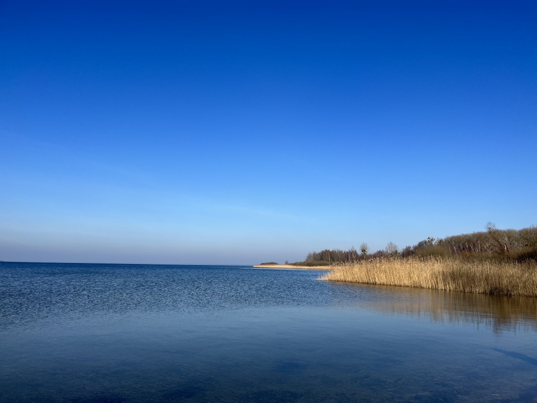 Mili dog beach, &copy; TDG Rechlin mbH