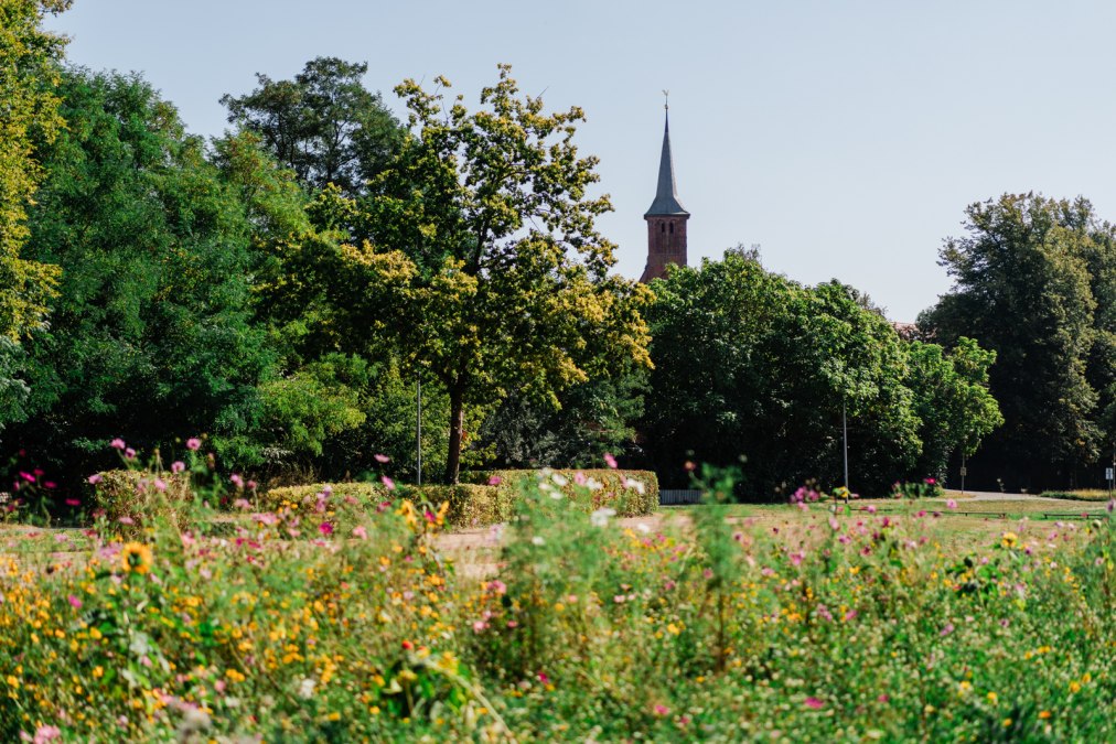 klosterwiesen-kloster-ribnitz-2024-BD-2, © Bernsteinstadt Ribnitz-Damgarten klosterwiesen-kloster-ribnitz-2024-BD-2, © Bernsteinstadt Ribnitz-Damgarten