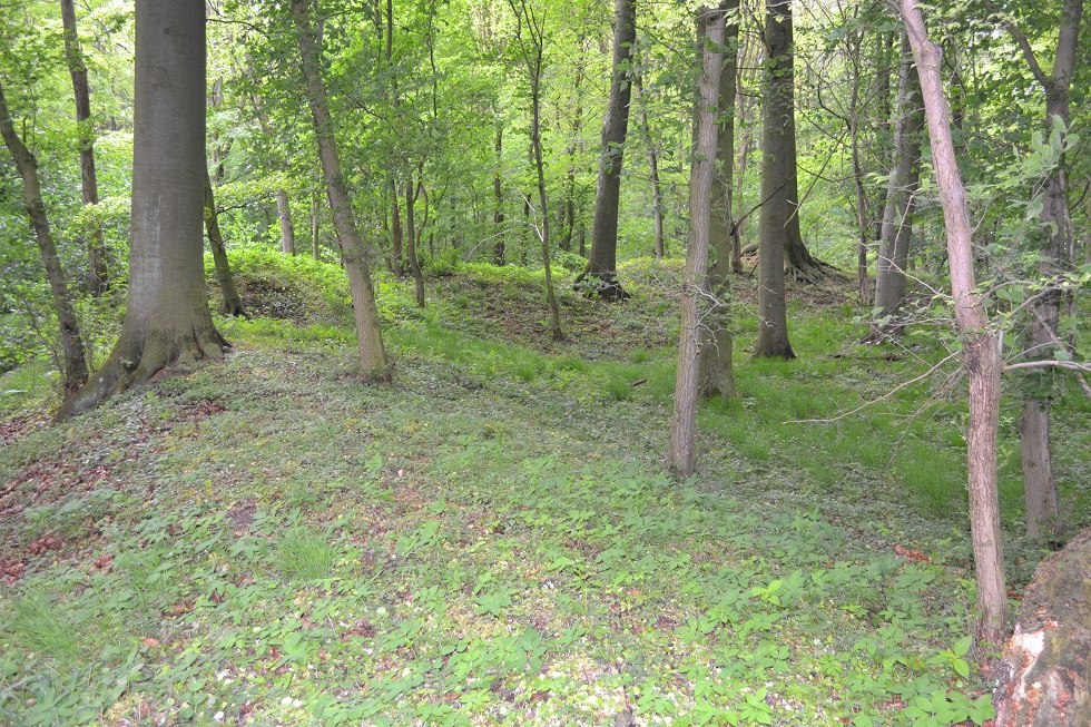 Wooded ring wall. // © Lutz Werner Wooded ring wall. // © Lutz Werner