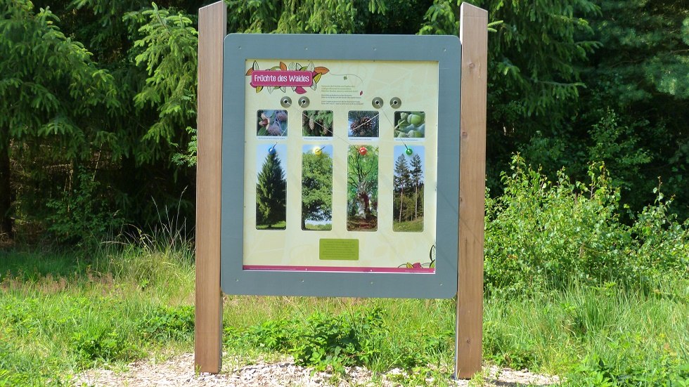 Here you will learn a lot of interesting facts about the forest and its surroundings., © Ummanz-Information/Bordych