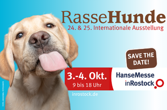 Title: Breed Dogs // © inRostock GmbH Title: Breed Dogs // © inRostock GmbH