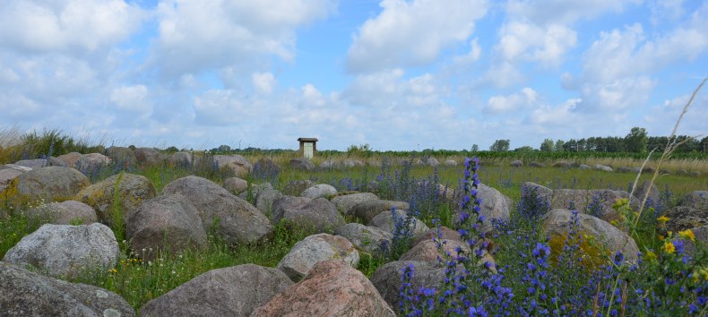 &copy; Kurverwaltung Feldberger Seenlandschaft