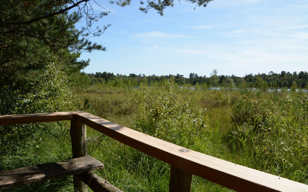 Moorsee viewpoint, © Tourismusverband Mecklenburg-Schwerin