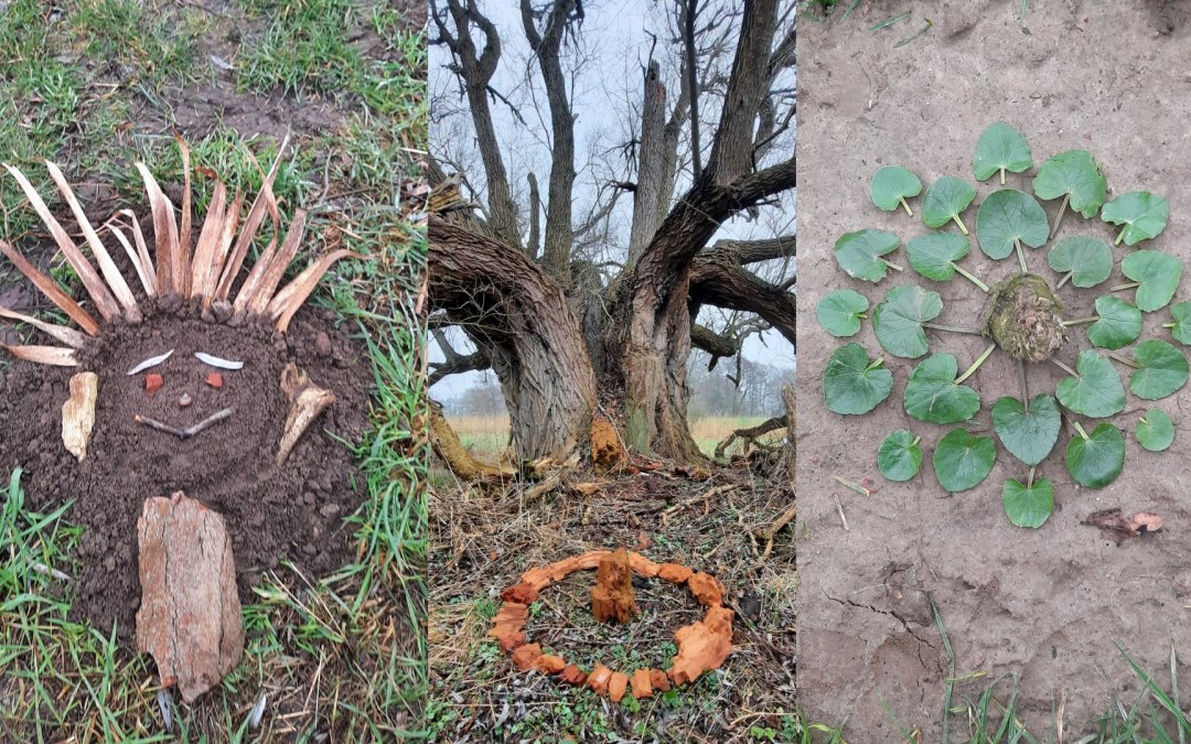 LandArt02, © Danu Elfring