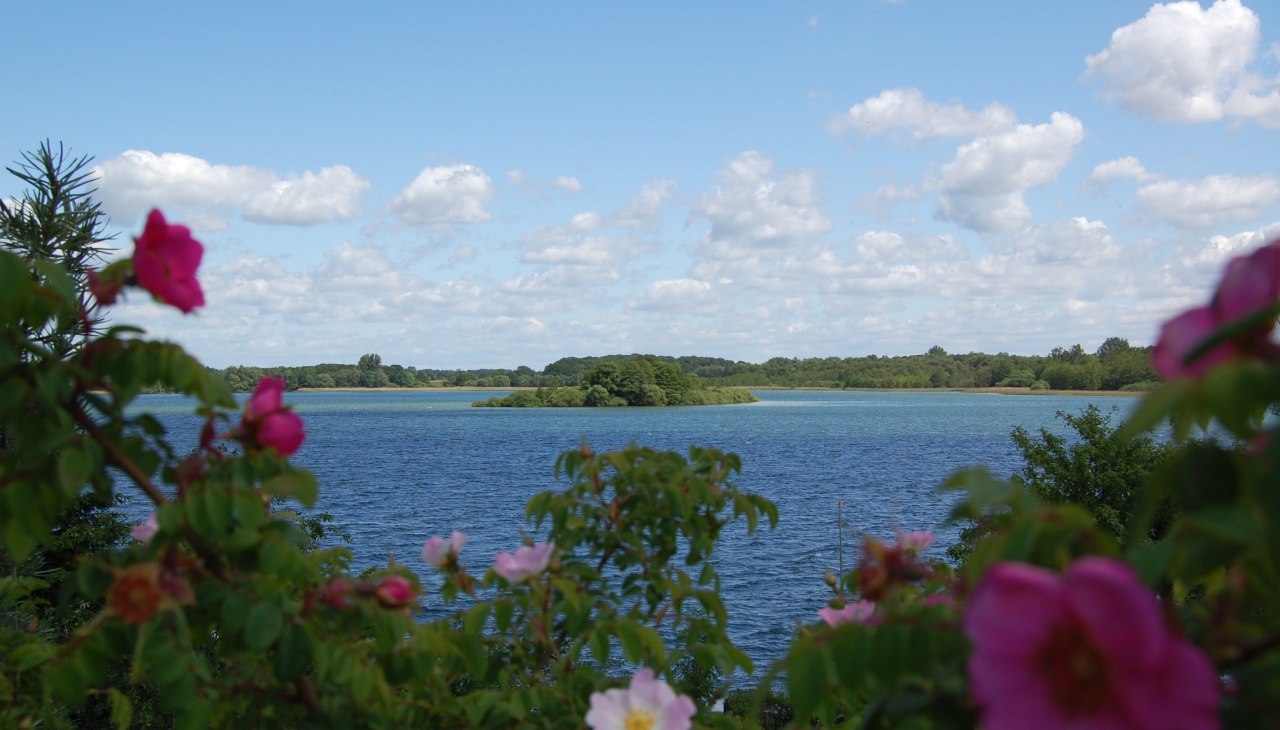 View from the property to the Schaalsee with the island Möwenburg., © © Susanne Hoffmeister