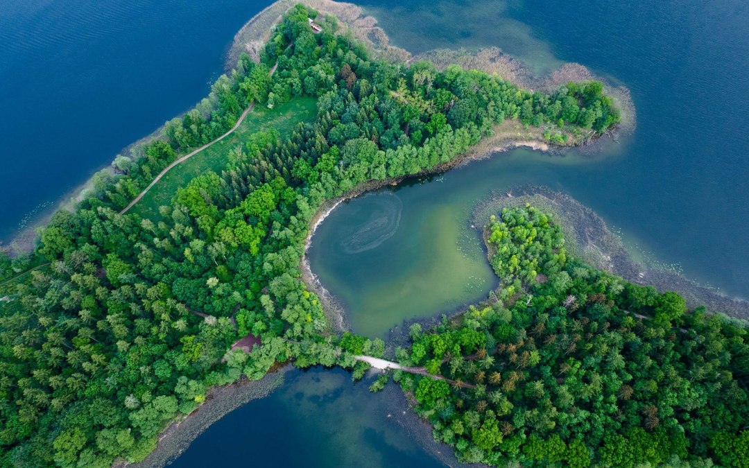 The forms of nature // &copy; MV-T/G&auml;nsicke