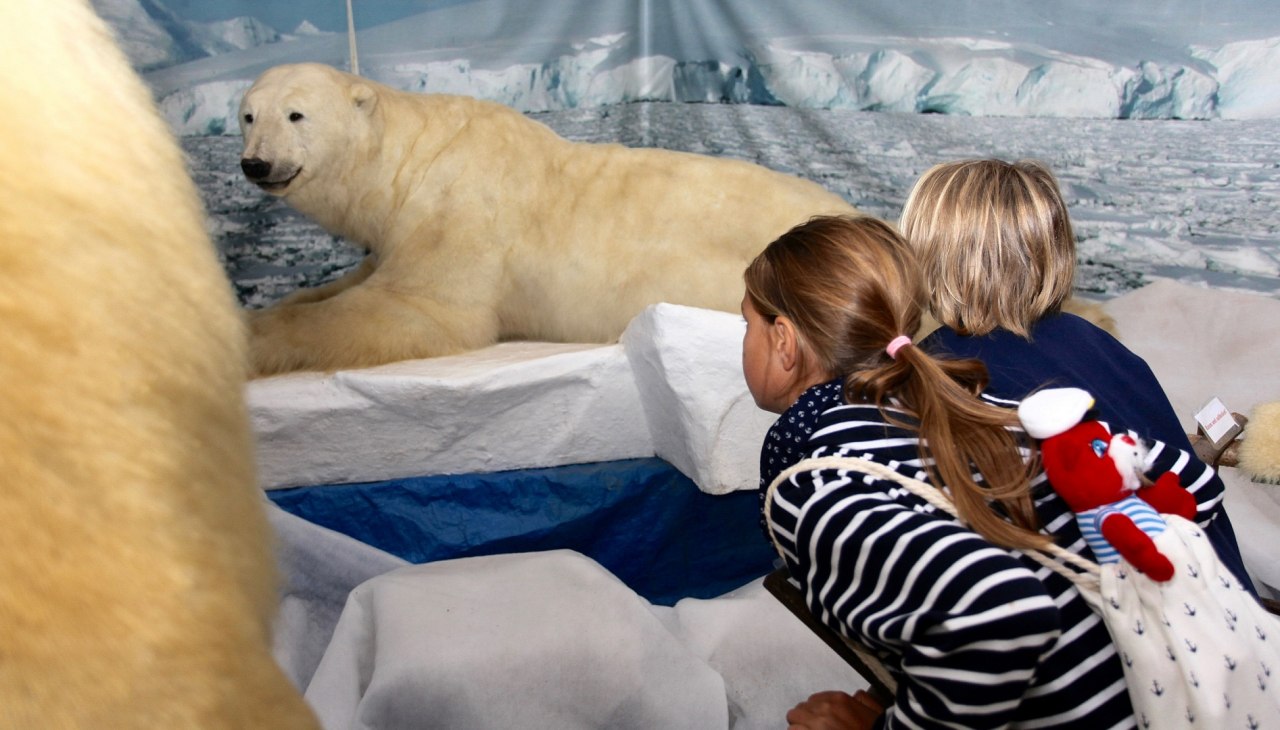 IJsberen bij Wildlife Usedom, &copy; H. B&ouml;hm / trassenheide.de