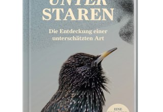 © Brandstätter Verlag, Antonia Coenen, Philipp Juranek