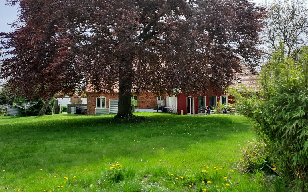 Hotelpension Altes Pfarrhaus - Garden, © K. Kühnel