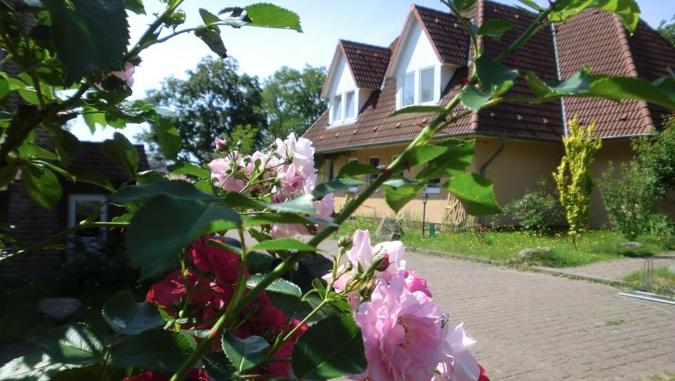 In het park, &copy; Maxi Wei&szlig;