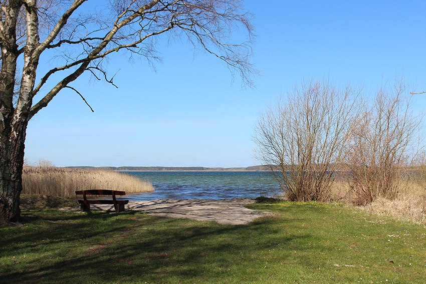 Geen aanlijnplicht - Hondenstrand Unterg&ouml;hren, &copy; Kur- und Tourismus GmbH G&ouml;hren-Lebbin
