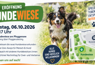 Hundewiese // © QM Hundewiese // © QM