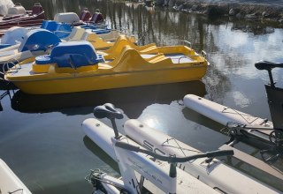 &copy; Dr. Diana Siebert