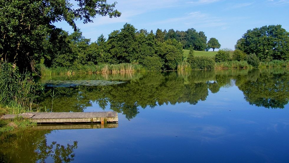 Het natuurlijke zwemgebied op 300 meter // © Alte Schule e.V. Het natuurlijke zwemgebied op 300 meter // © Alte Schule e.V.