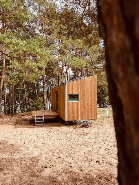 Detached tiny house with wooden cladding on sandy ground, surrounded by tall pine trees in an idyllic forest landscape.
