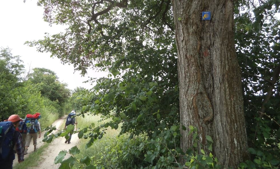 Finding oneself step by step on the pilgrimage of St. Birgitta, &copy; Archiv Ev.-Luth. Kirchenkreis Mecklenburg