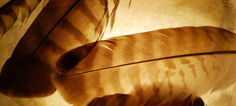 © Nationalpark-Zentrum KÖNIGSSTUHL