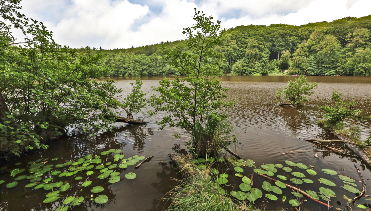herthasee_6, © TMV/Gohlke