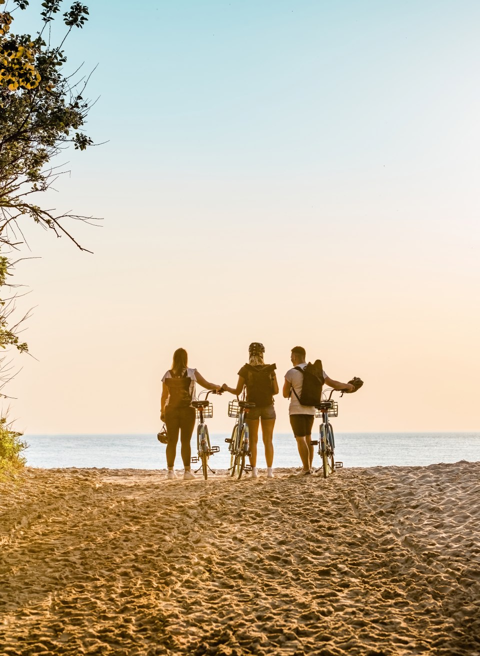 What an entr&eacute;e! Already the way to the beach of Torfbr&uuml;cke makes right mood., &copy; TMV/Tiemann