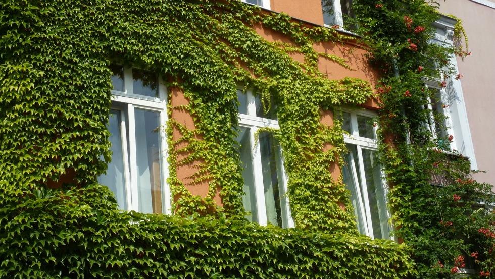 Buitenaanzicht huis, © Galina Diran