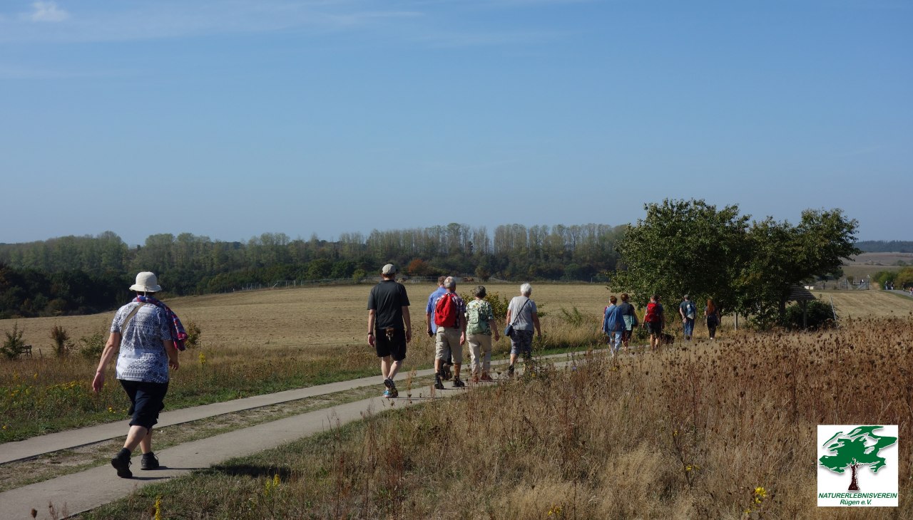 Wędrówka przez zatokę i pagórkowate krajobrazy wokół Seedorfu, © Naturerlebnisverein Rügen e.V.