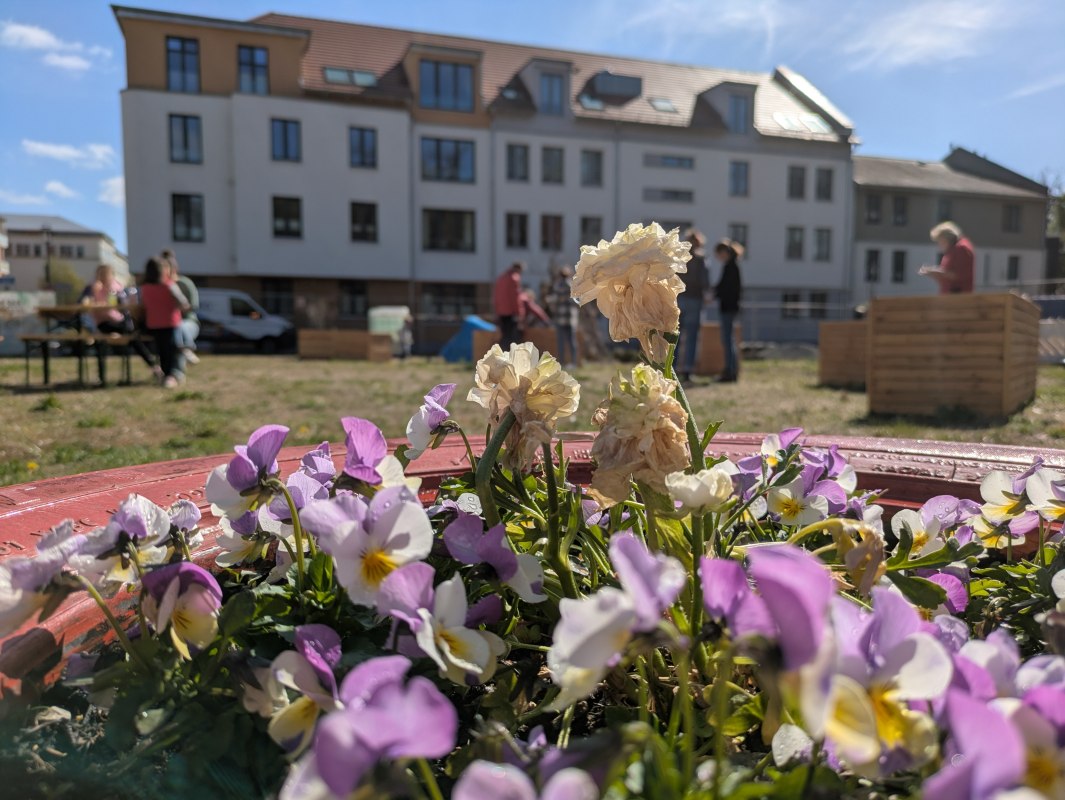 Flower planters in the city park // © Lokale Agenda 21 Neubrandenburg e.V. Flower planters in the city park // © Lokale Agenda 21 Neubrandenburg e.V.