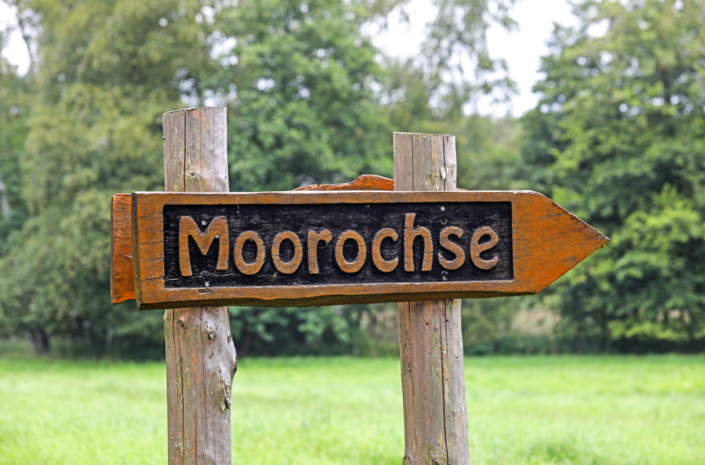 Wieża obserwacyjna Moorochse, © TMV/Gohlke