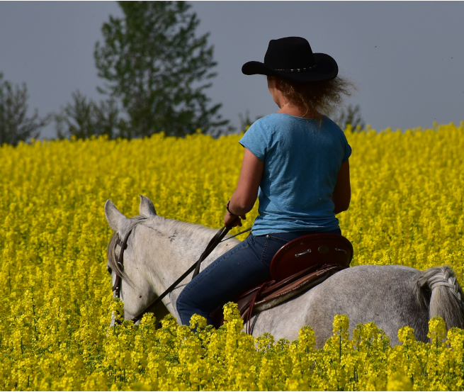 © Hof Peeneland © Hof Peeneland