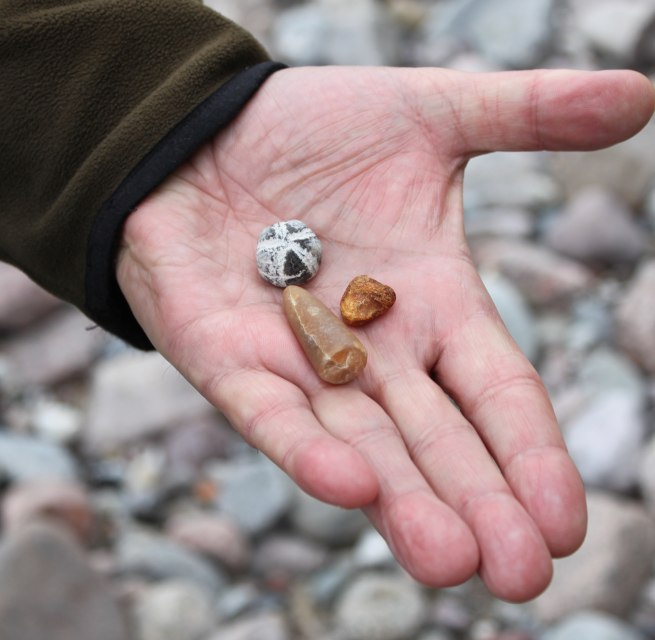Beach finds, © Biosphärenreservatsamt Südost-Rügen